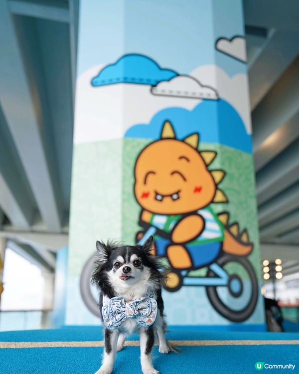 今日黎到北角東岸板道潮聖一下🐾