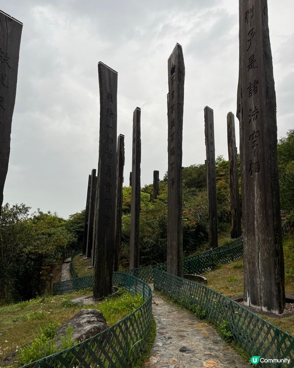 天壇大佛保佑🙏🏻成功🏅