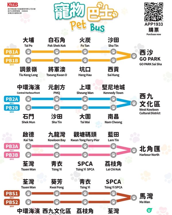 九巴「寵物巴士團」載近萬次愛寵出遊 4月推出全新路線 