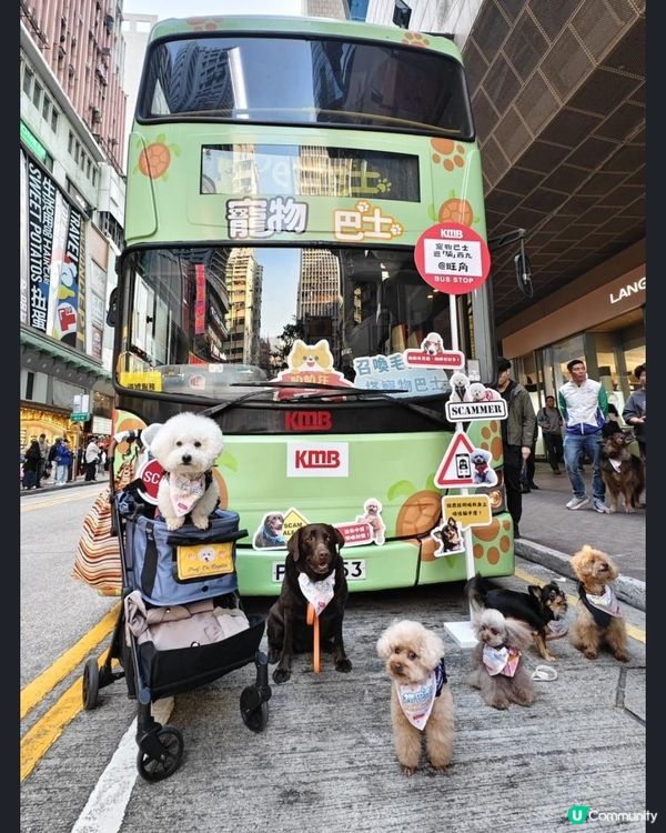 九巴「寵物巴士團」載近萬次愛寵出遊 4月推出全新路線 