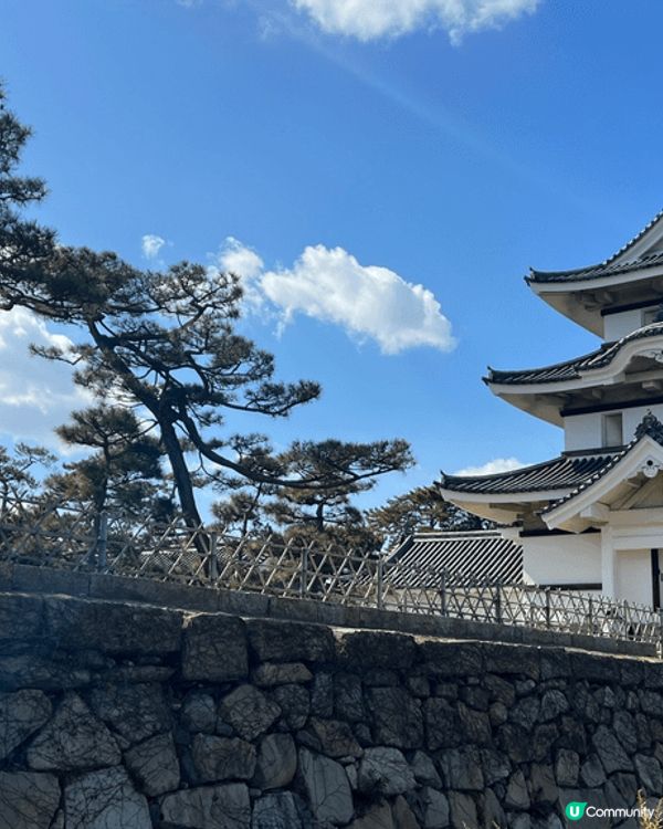 二月份四國之旅，天氣好風景靚