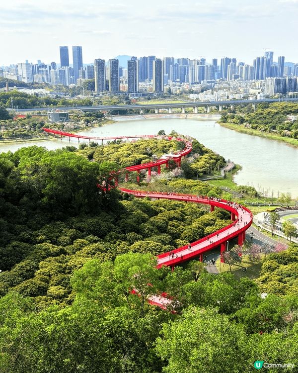 深圳光明區虹橋公園，一個好靚嘅現代版萬里長城景點，遠遠都值得...