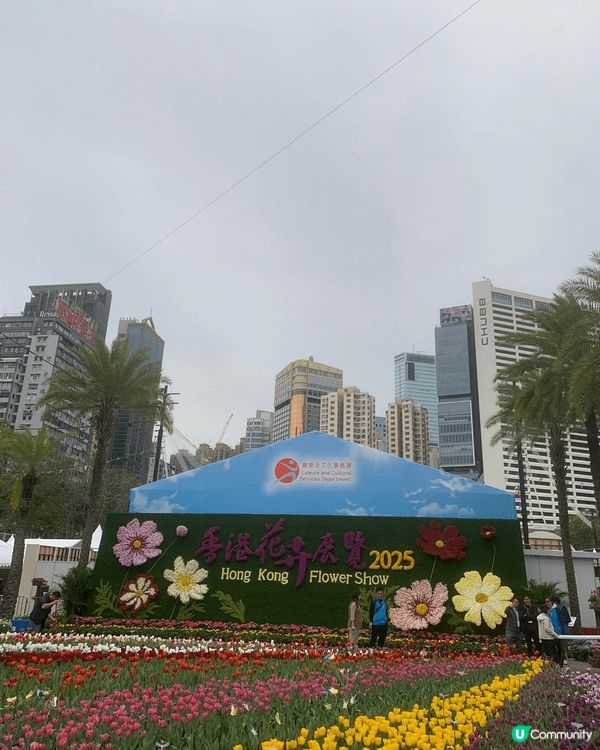 Flower Show 2025 at Victoria P...