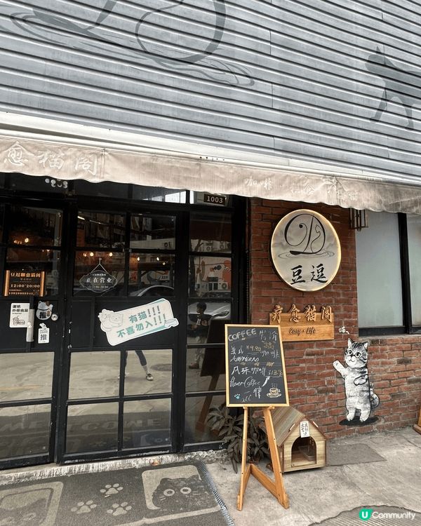 近期去咗珠海一間出名嘅貓Cafe打卡，嗰度有50隻貓，啲咖啡...
