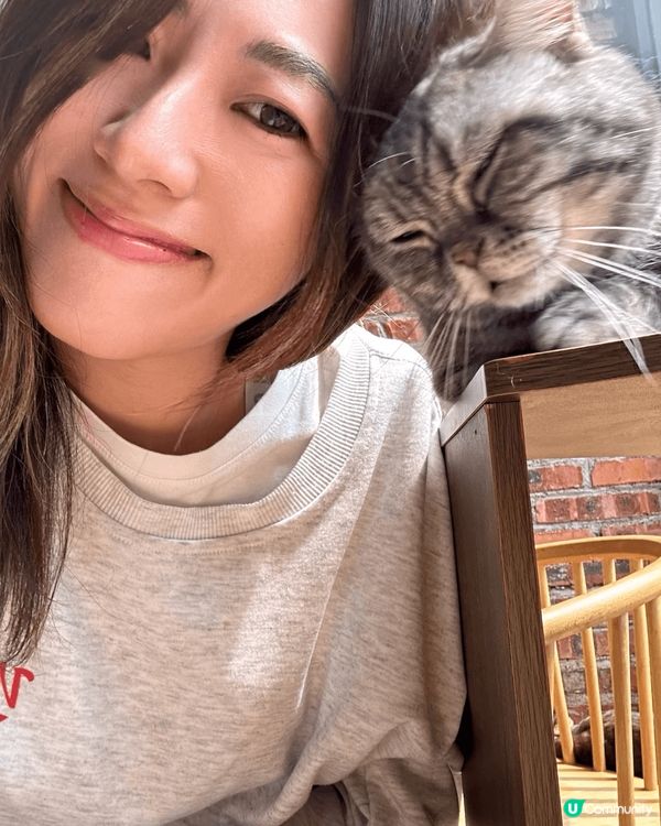 近期去咗珠海一間出名嘅貓Cafe打卡，嗰度有50隻貓，啲咖啡...