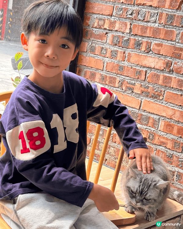 近期去咗珠海一間出名嘅貓Cafe打卡，嗰度有50隻貓，啲咖啡...