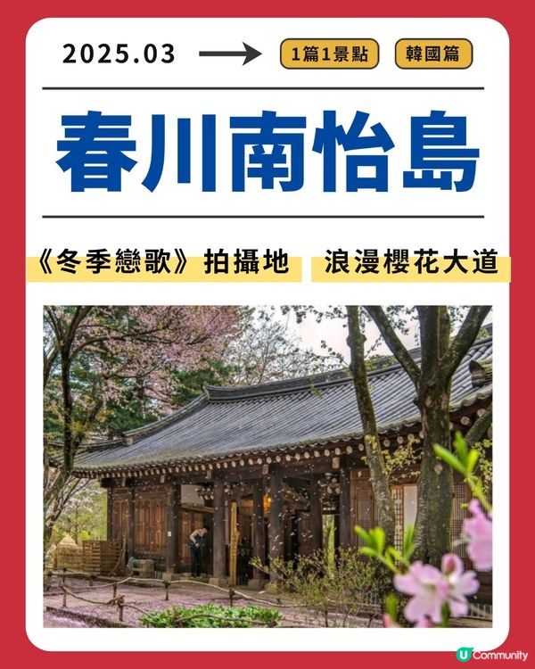 春川南怡島：浪漫櫻花大道《冬季戀歌》拍攝地