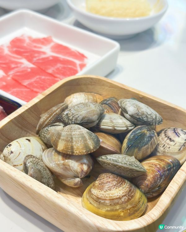 觀塘泰式火鍋放題 🍲 任食鮑魚蝦🦐