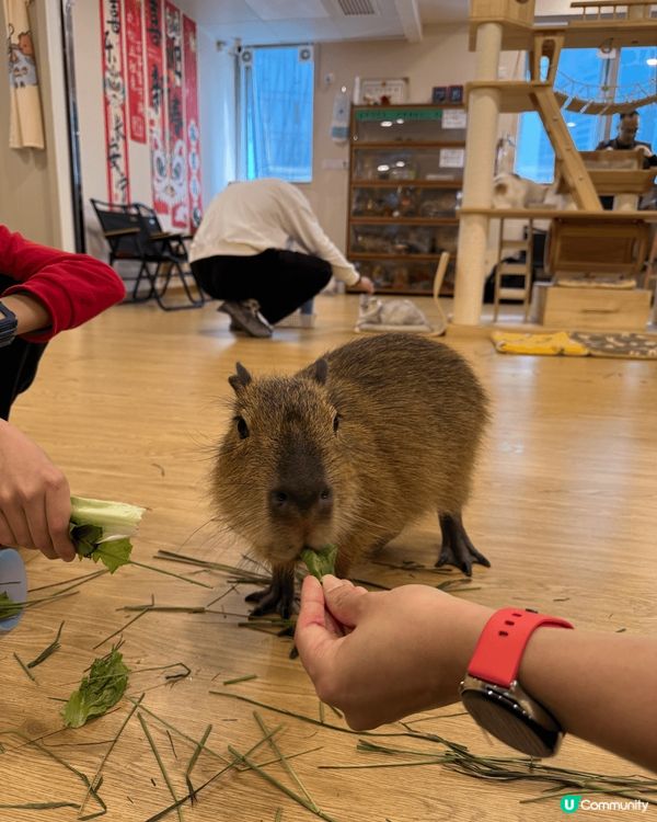 #我想周圍去旅行