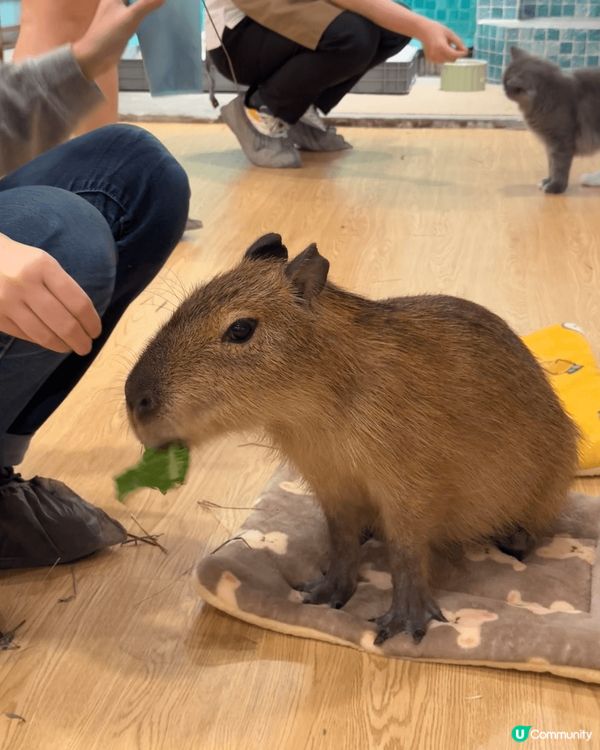 #我想周圍去旅行