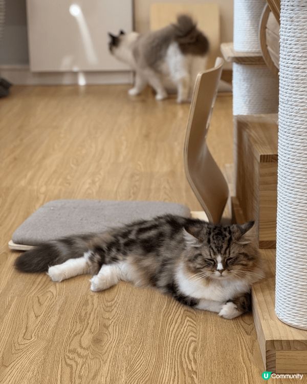 #我想周圍去旅行