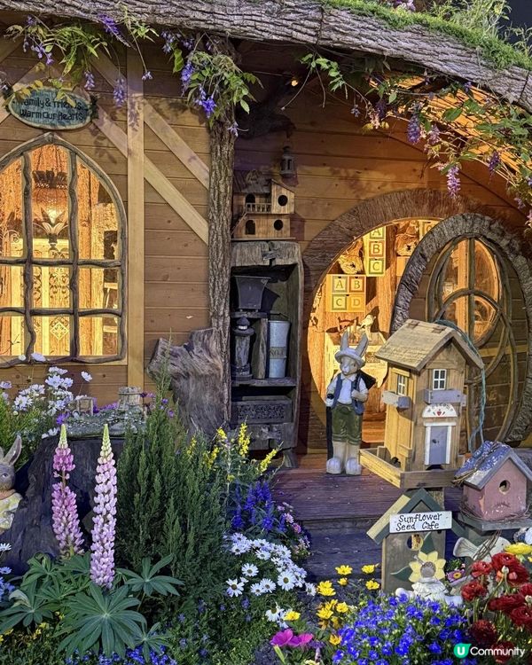 香港花卉展覽展出得獎園圃