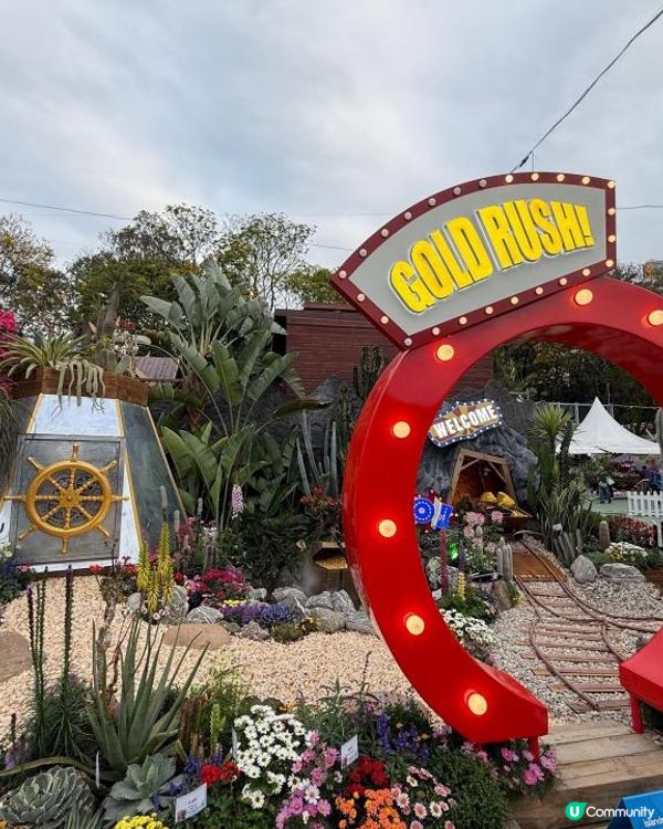 香港花卉展覽展出得獎園圃