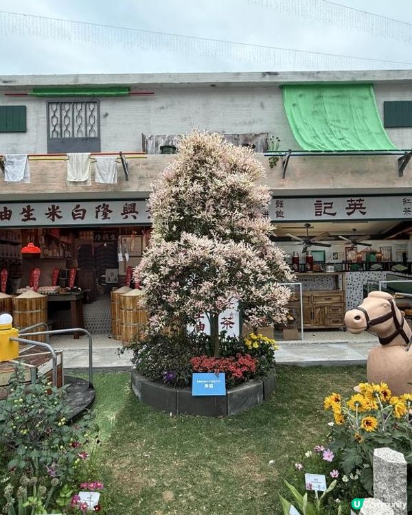 香港花卉展覽展出得獎園圃