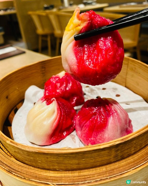 黃大仙➡️➡️➡️上海婆婆