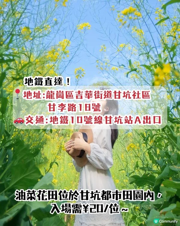 深圳龍崗區5大花海🌺逾80萬呎花海/附隱世打卡位🤫3大打卡小TIPS‼️睇明星教你點影！