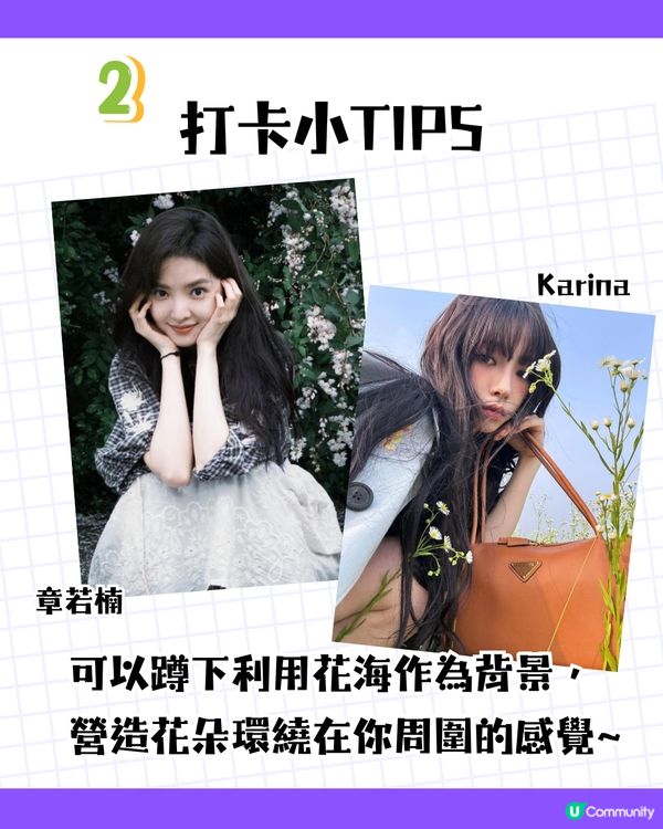 深圳龍崗區5大花海🌺逾80萬呎花海/附隱世打卡位🤫3大打卡小TIPS‼️睇明星教你點影！