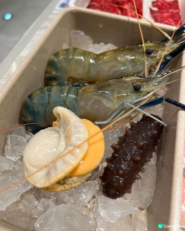 大頭蝦任食火鍋店