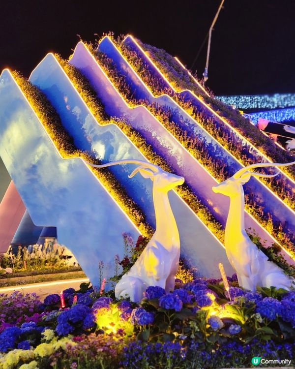 地區限定打卡展