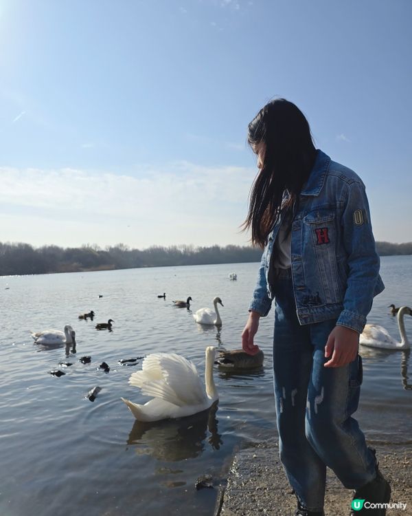 陽光普照，我哋一齊去餵鴨仔！😎