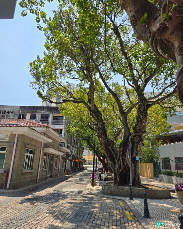 #澳門必食 #澳門必買 #澳門必玩 #澳門打卡 #葡撻 #豬...