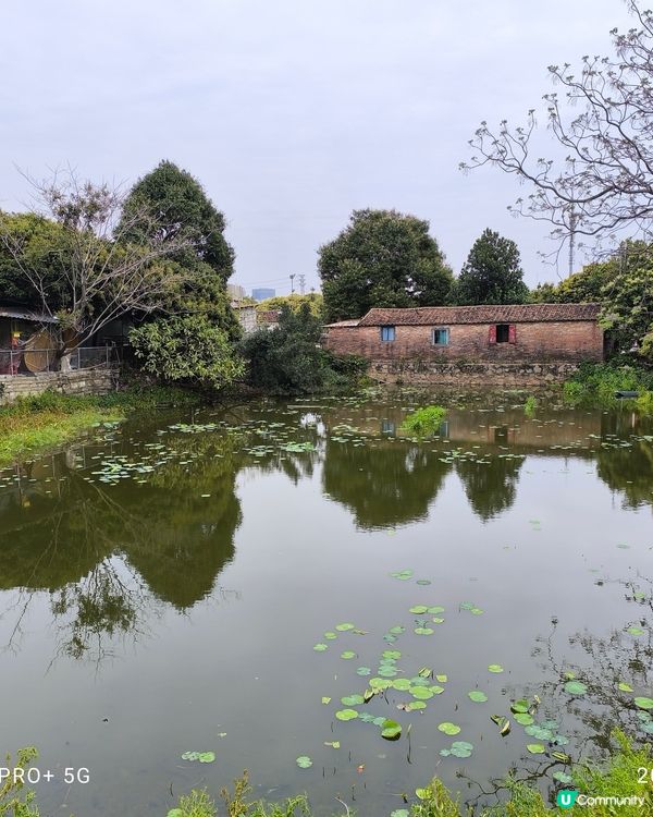 東莞市農家宴第16名陳家家現農莊