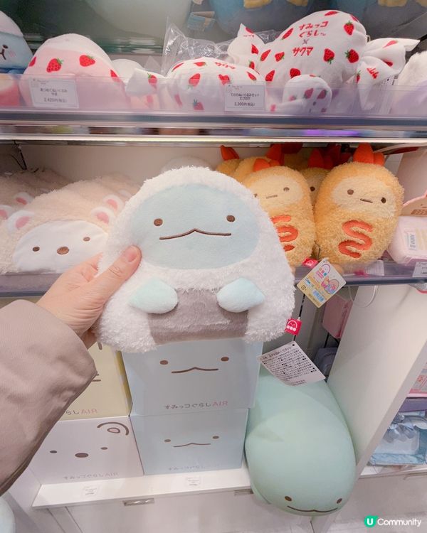 心齋橋🤩 角落生物專門店必去！