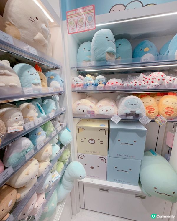 心齋橋🤩 角落生物專門店必去！