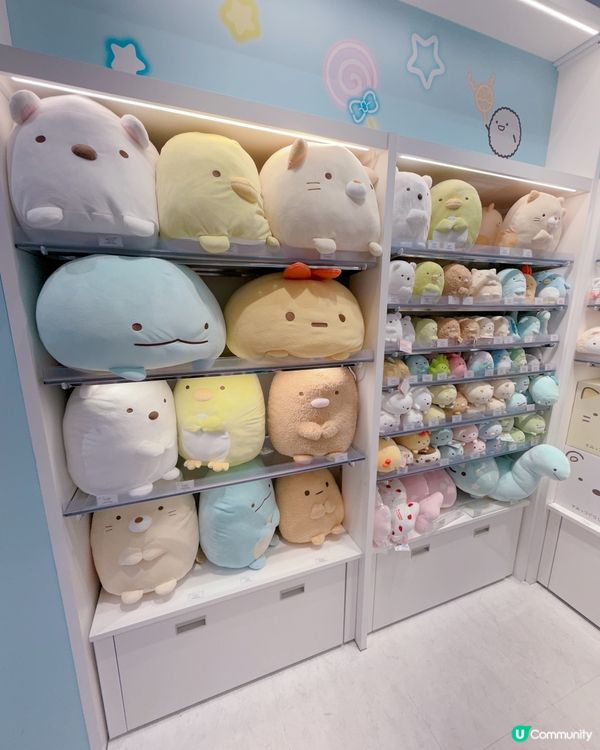 心齋橋🤩 角落生物專門店必去！