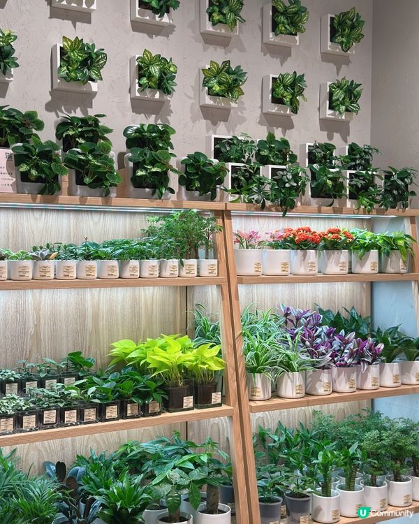 無印良品新都城中心開業啦🎉