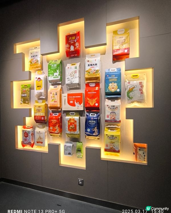 拜訪太娘集團參觀米飯探知館親手製作壽司