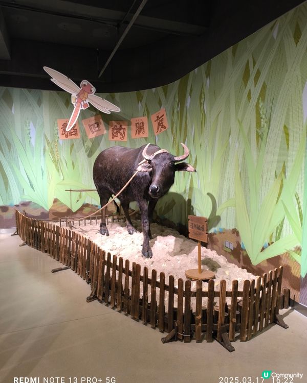 拜訪太娘集團參觀米飯探知館親手製作壽司