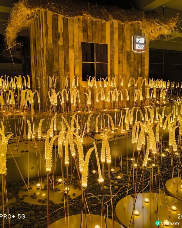 拜訪太娘集團參觀米飯探知館親手製作壽司