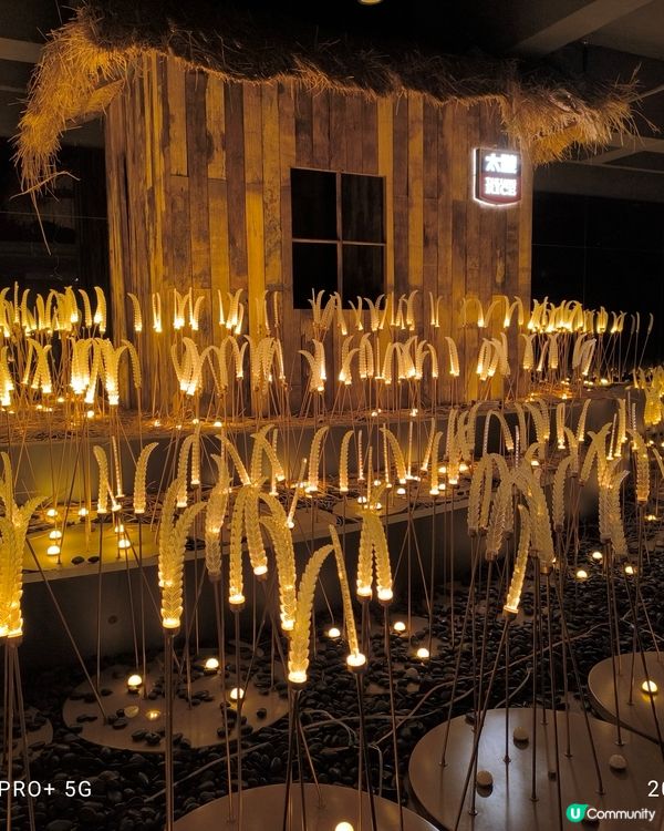 拜訪太娘集團參觀米飯探知館親手製作壽司