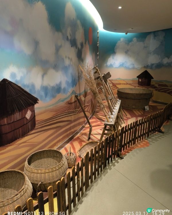 拜訪太娘集團參觀米飯探知館親手製作壽司