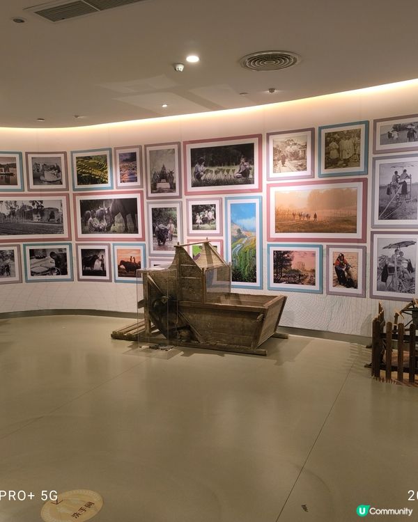 拜訪太娘集團參觀米飯探知館親手製作壽司