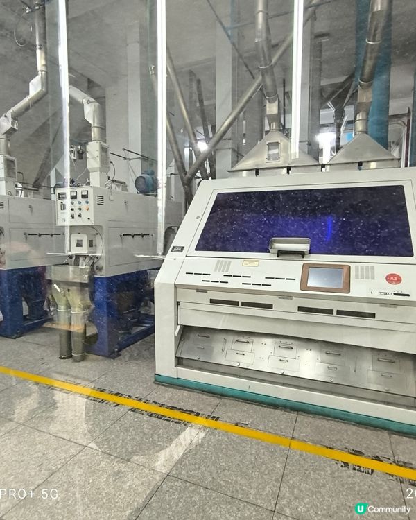 拜訪太娘集團參觀米飯探知館親手製作壽司