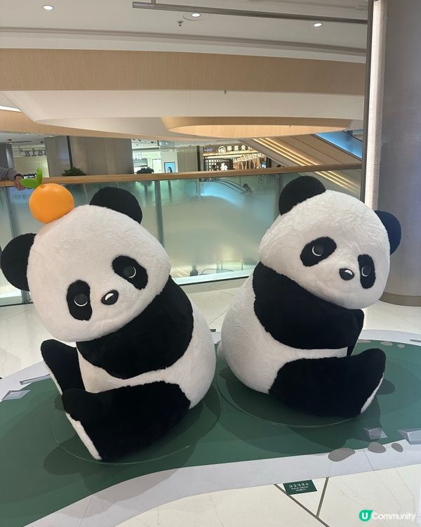 The Southside 金色不如㷌