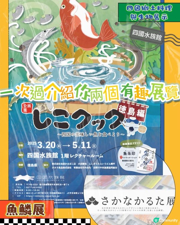 四國水族館另類特別展 x 2🤣