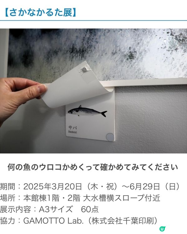 四國水族館另類特別展 x 2🤣