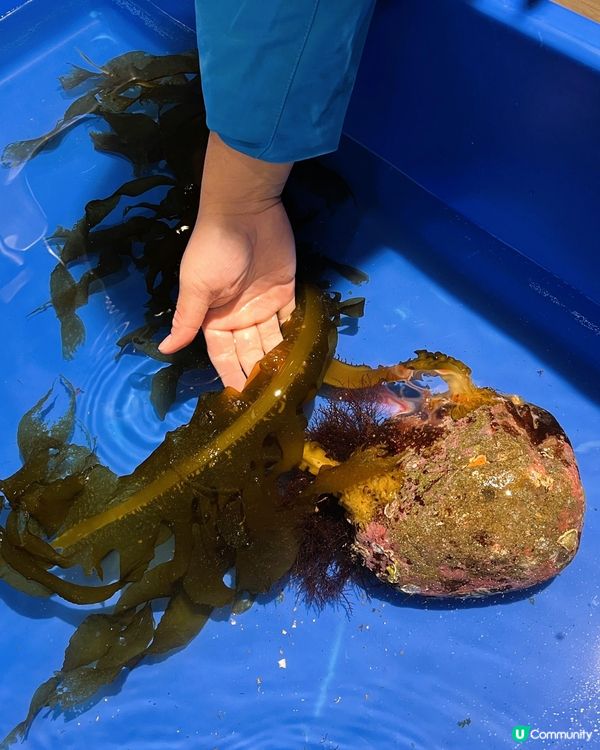 四國水族館另類特別展 x 2🤣