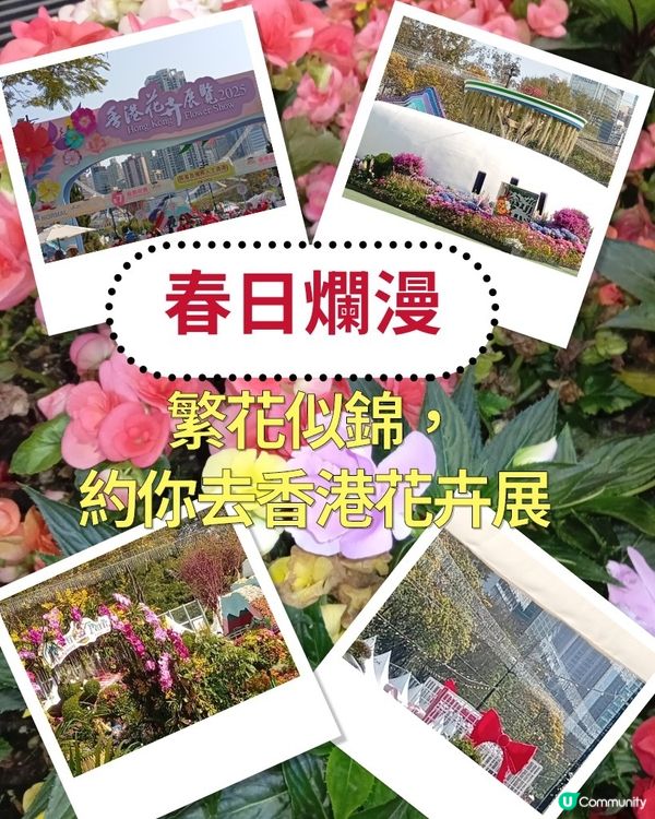 春日爛漫，繁花似錦，約你去香港花卉展覽
