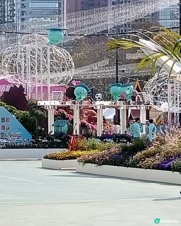 春日爛漫，繁花似錦，約你去香港花卉展覽