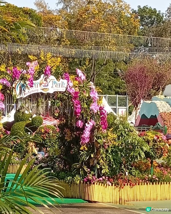 春日爛漫，繁花似錦，約你去香港花卉展覽