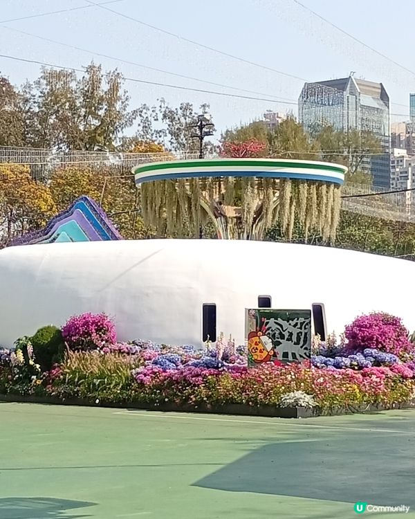 春日爛漫，繁花似錦，約你去香港花卉展覽