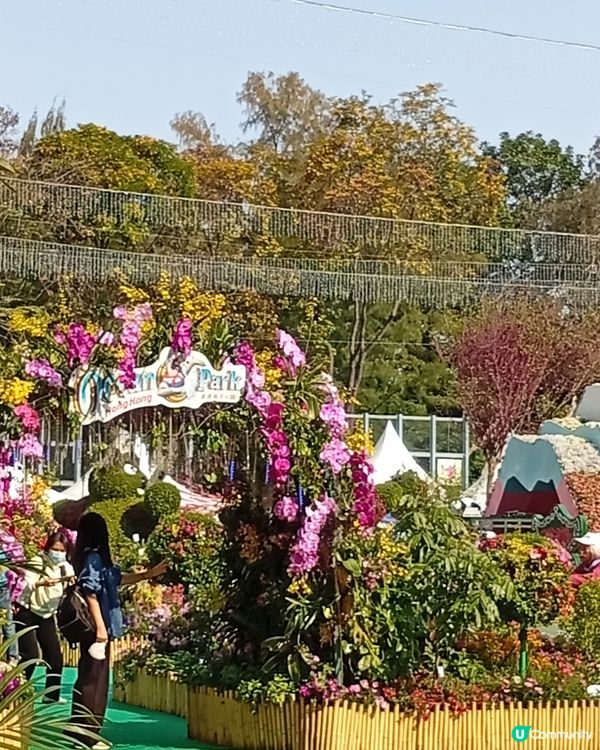 春日爛漫，繁花似錦，約你去香港花卉展覽
