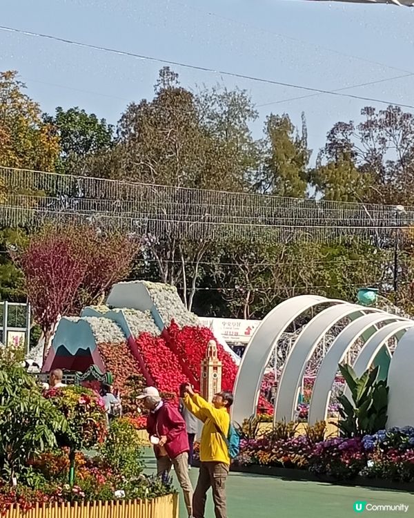 春日爛漫，繁花似錦，約你去香港花卉展覽