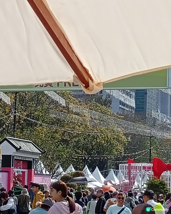 春日爛漫，繁花似錦，約你去香港花卉展覽