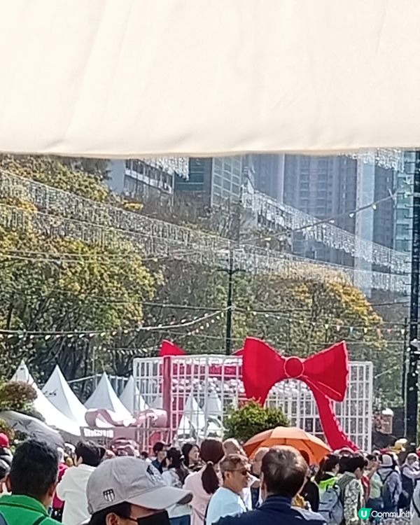 春日爛漫，繁花似錦，約你去香港花卉展覽