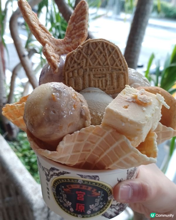 台中必去 宮原眼科👁️